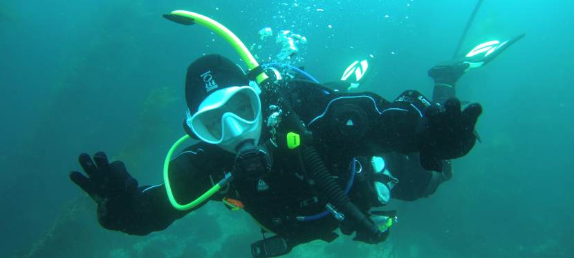 Open Water Diver&nbsp;Course