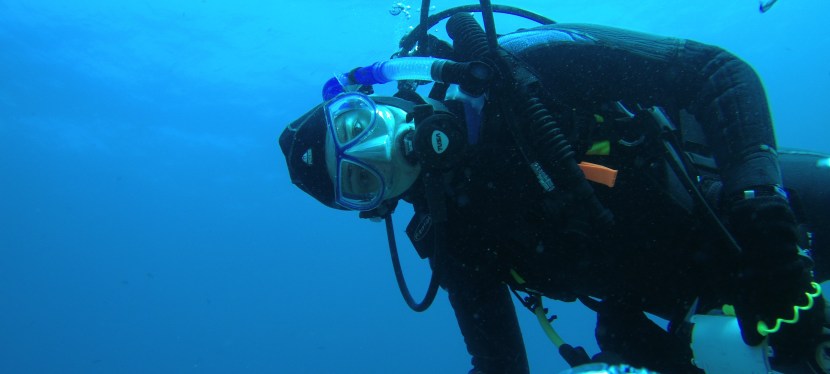 Scuba Training And&nbsp;Services