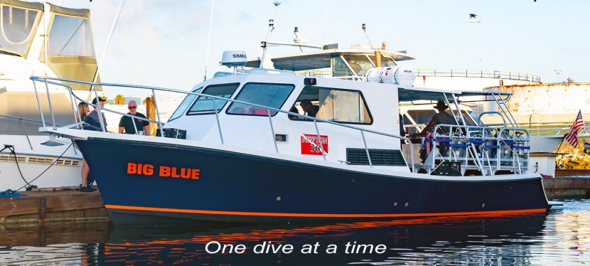 Monthly Dive Boat&nbsp;Excursions